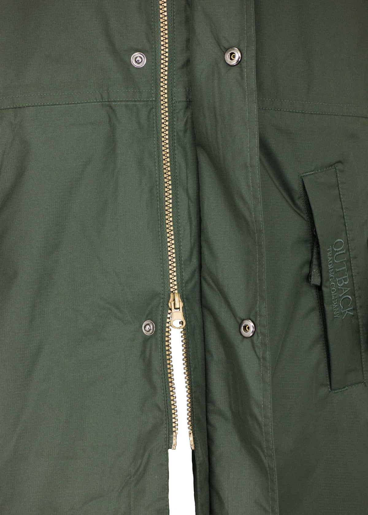 5-622767-olive2.jpg