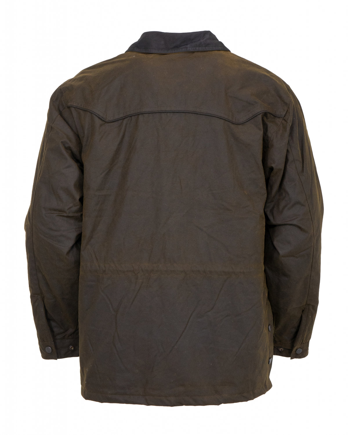 5-702436-bronze2.jpg