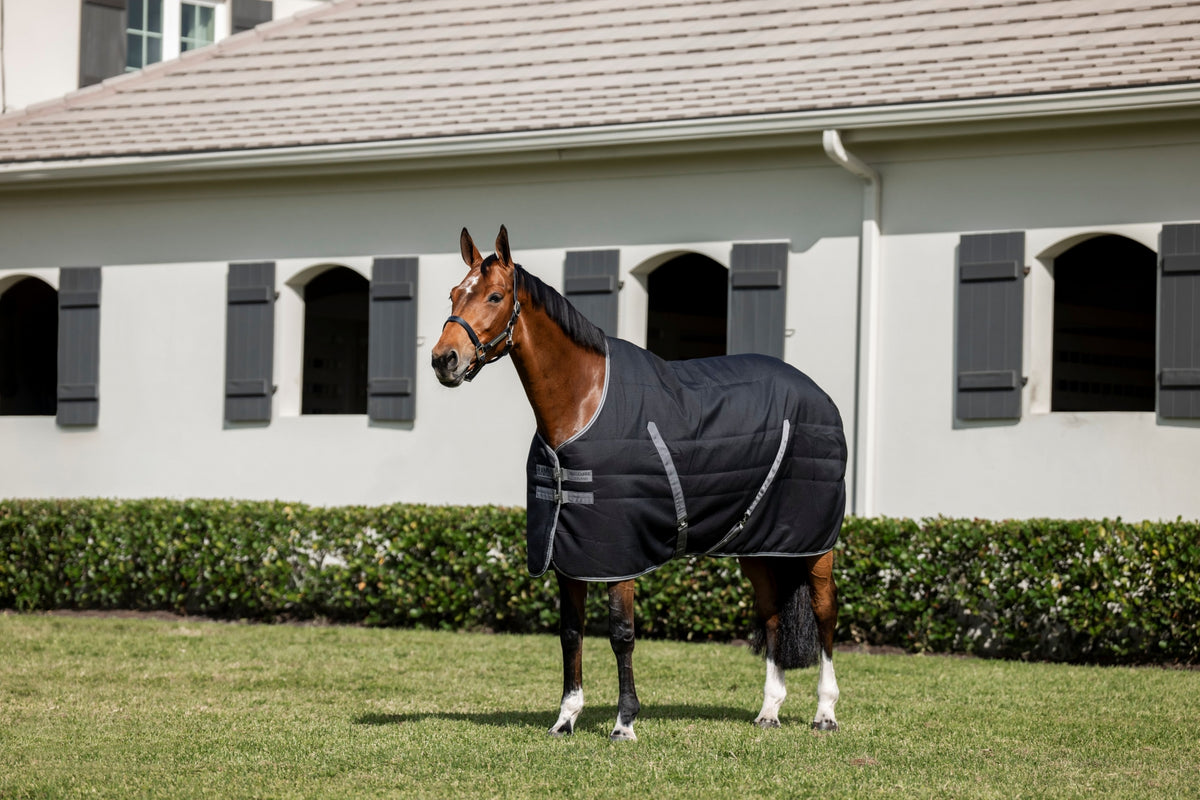 4-474347-01.jpg