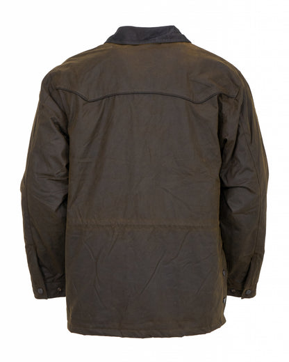 5-702436-bronze2.jpg