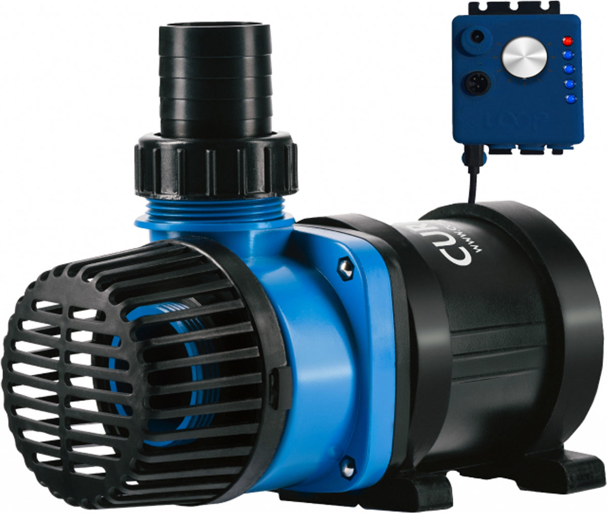 5-882878-blackblue.jpg